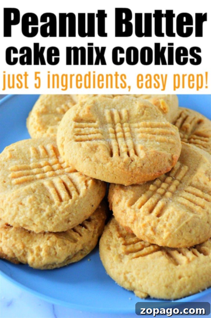 Effortless 2 Ingredient Root Beer Cake 8 A variety of colorful and easy-to-make cookies, crafted using a simple cake mix.