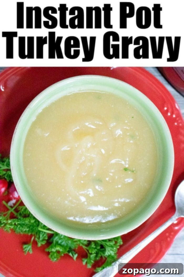 Quick Pressure Cooker Gravy 3 Delicious pressure cooker gravy and turkey ready for Thanksgiving or Christmas.