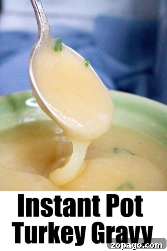 Quick Pressure Cooker Gravy 7 Homemade pressure cooker turkey gravy.