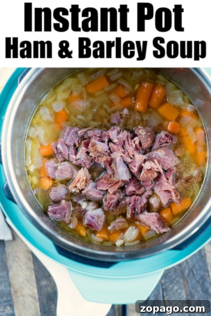 Hearty Instant Pot Barley Soup 5 A top-down view of Instant Pot barley soup with ham, vegetables, and a spoon.