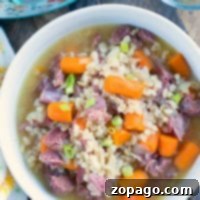 A warm bowl of beef and barley soup, brimming with tender carrots and green onions, effortlessly prepared in the instant pot.