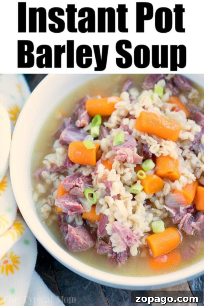 Hearty Instant Pot Barley Soup 7 A large pot of pressure cooker barley soup, ready to be served.