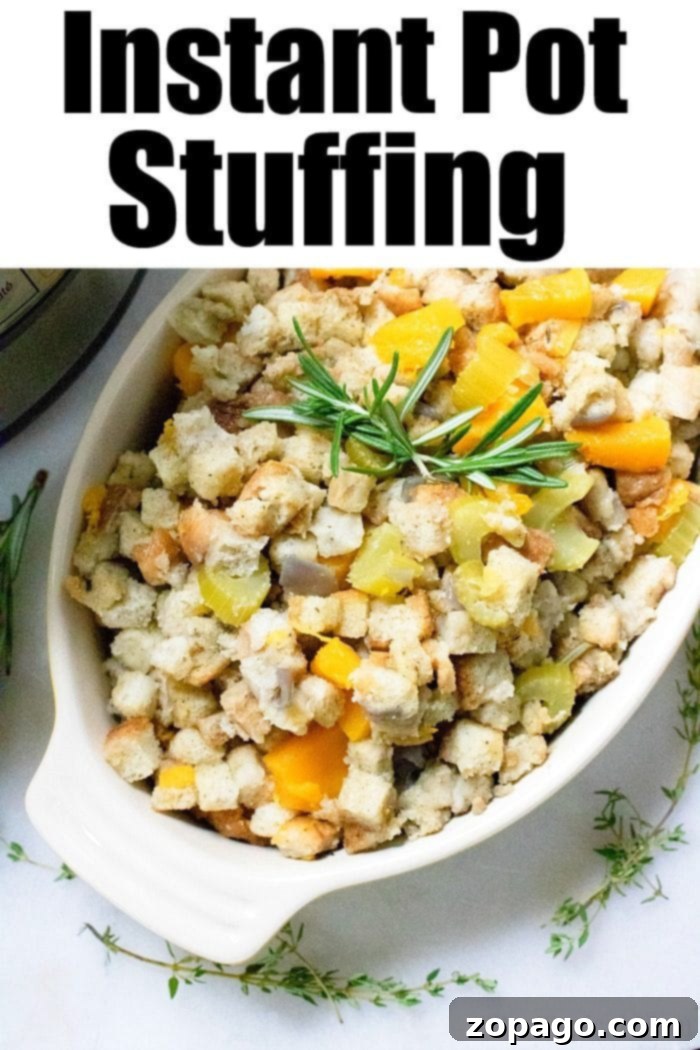 Easy Instant Pot Dressing 9 A vibrant, close-up shot of fluffy Instant Pot Stuffing, garnished with fresh herbs, showcasing its perfect texture and rich, golden color. This festive side dish is ready to be served.
