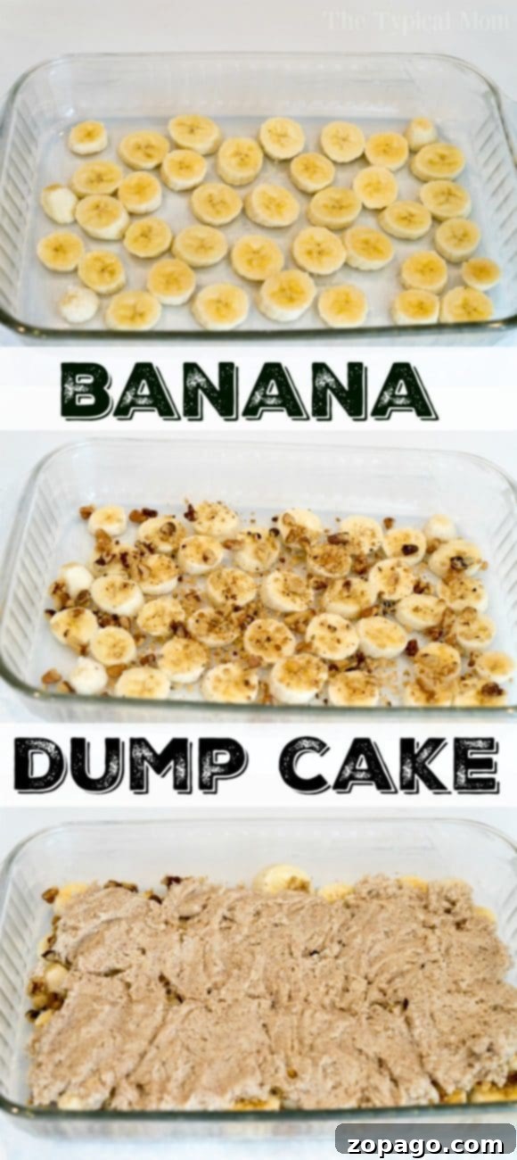 This banana dump cake is incredibly easy and perfect for banana bread lovers. Drizzle with caramel sauce for a divine dessert experience. A selection of easy dump cakes, emphasizing their simple preparation and delicious appeal for various occasions.