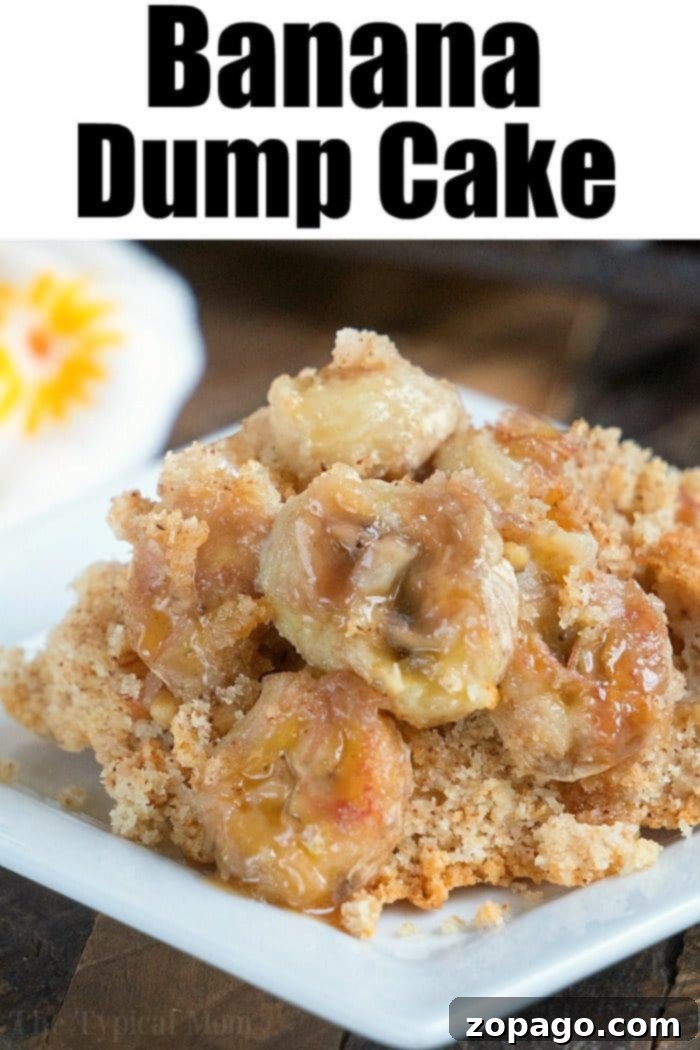 This banana dump cake is easy to throw together and great if you love banana bread as much as we do. Drizzled with caramel sauce it's a great dessert. Banana bread Dump Cake, showing a golden crust and fruit peaking through, emphasizing its warm, comforting appeal.