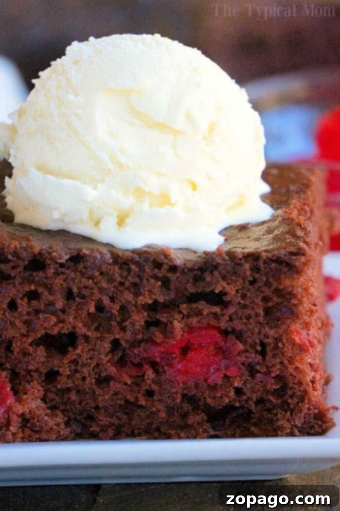This chocolate cherry dump cake is a moist, 3-ingredient dessert packed with sweet cherries. Perfect for any occasion. #chocolate #cherry #dumpcake #cake Delicious chocolate cherry dump cake, moist and rich with sweet cherries