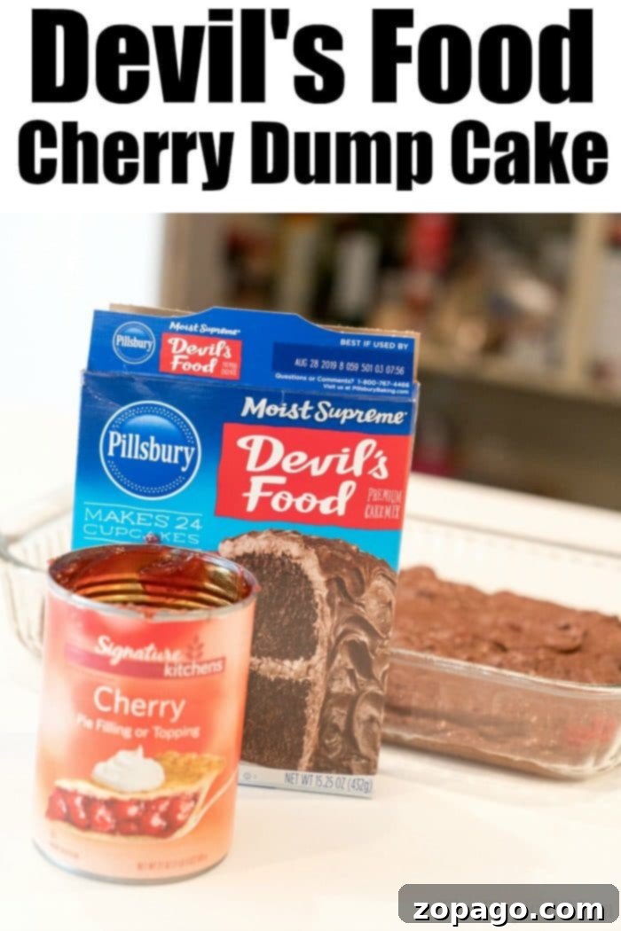 This chocolate cherry dump cake only requires 3 ingredients and it is the moistest cake packed with sweet cherries you will ever make. Perfect dessert. #chocolate #cherry #dumpcake #cake Close-up of a slice of Chocolate Cherry Dump Cake
