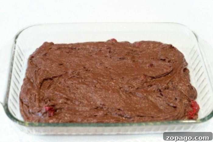 This chocolate cherry dump cake only requires 3 ingredients and it is the moistest cake packed with sweet cherries you will ever make. Perfect dessert. #chocolate #cherry #dumpcake #cake Generous serving of chocolate dump cake, ready to be enjoyed
