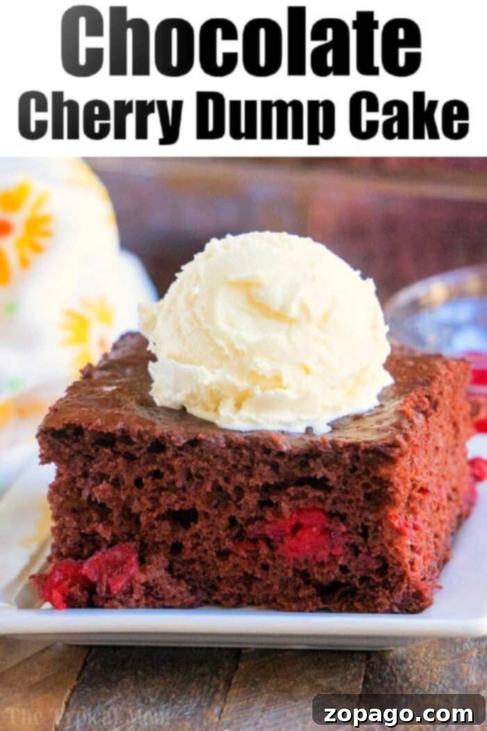 This chocolate cherry dump cake only requires 3 ingredients and it is the moistest cake packed with sweet cherries you will ever make. Perfect dessert. #chocolate #cherry #dumpcake #cake Close-up of Chocolate Cherry Dump Cake with a spoonful removed