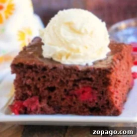 A slice of chocolate cherry dump cake topped with a scoop of vanilla ice cream rests elegantly on a white plate.