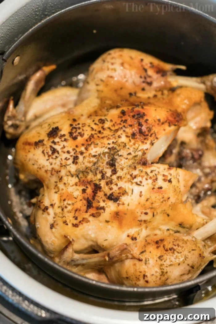 How to Cook a Frozen Whole Chicken in the Instant Pot 3 A whole roasted chicken with crispy, golden-brown skin, seasoned with herbs, showcased in a Ninja Foodi, highlighting a delicious Ninja Foodi chicken recipe.