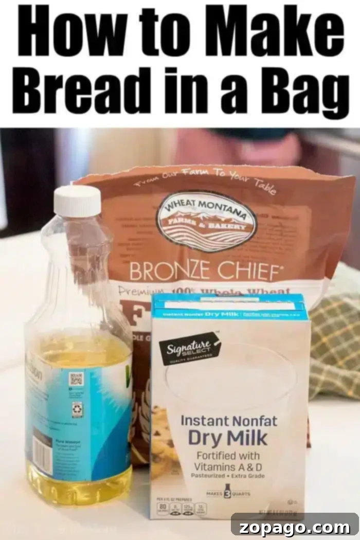 Shake & Bake Whole Wheat Bread 3 Ingredients laid out for whole wheat bread in a bag recipe