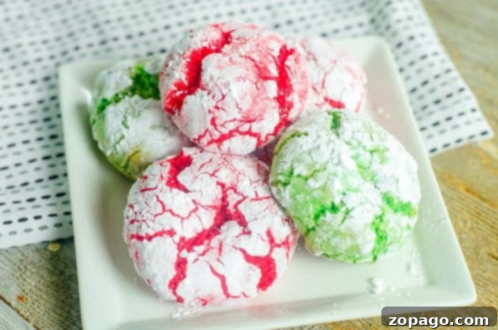 Here's an easy crinkle cookies recipe you can make for any occasion. With bright colors they're great Christmas cookies that come out moist every time. #crinklecookies #christmas #cookies Crinkle Cookies Recipe