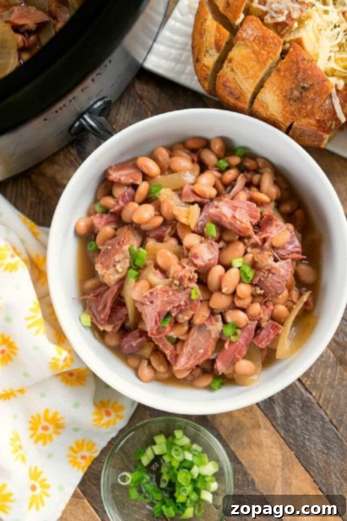 Slow Cooker Ham and Beans 4 A hearty bowl of slow cooker ham and beans, ready to serve, showcasing its rich texture and comforting appeal.