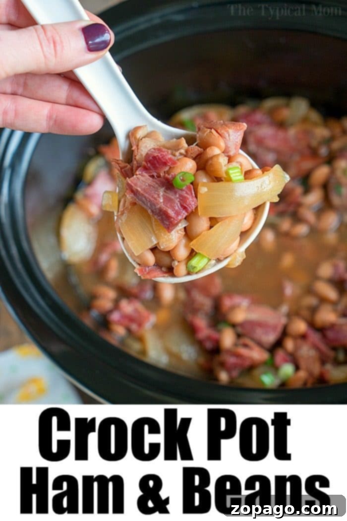 The Secret Ingredient: Ham Hocks for Ultimate Flavor A ham hock simmering with beans in a slow cooker, illustrating the key ingredient.