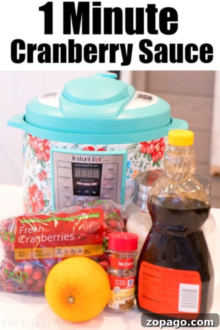 A Show-Stopping Instant Pot Cranberry Sauce Ready in 1 Minute Close-up of Instant Pot cranberry sauce, rich and jewel-toned, a perfect holiday accompaniment.