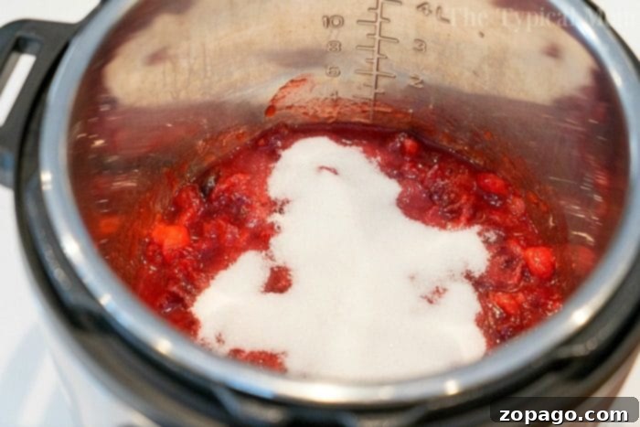 Homemade Instant Pot Cranberry Sauce 6 Another perspective of homemade Instant Pot cranberry sauce, highlighting its luscious consistency and readiness to serve.