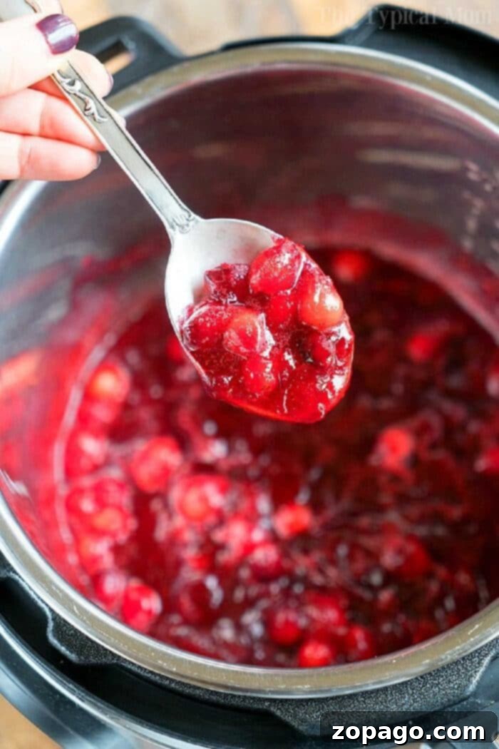 Versatile Pressure Cooker Cranberry Sauce: Delicious and Customizable A bowl of pressure cooker cranberry sauce with a perfectly chunky yet smooth texture, ready for holiday meals.