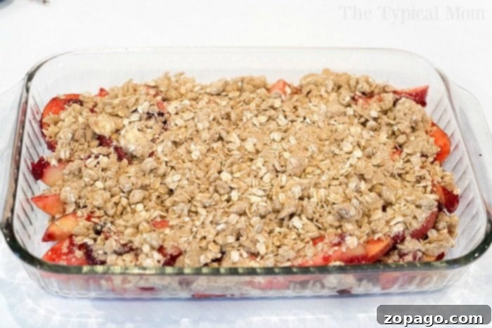 Baked Cranberry Apple Crumble: A Sweet and Tangy Treat A vibrant close-up of cranberry apple crumble, freshly baked in a glass dish. The topping is golden and crumbly, revealing softened apple and cranberry pieces underneath. This image highlights the texture and deliciousness of a classic fruit dessert.