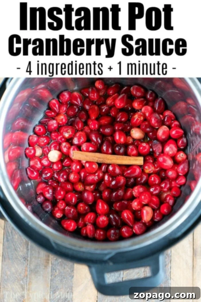 Here is a long list of cranberry recipes for Thanksgiving you can follow to make cranberry drinks, side dishes, appetizers, desserts and more. #cranberry #recipes #thanksgiving #sidedishes #drinks #desserts Instant Pot Cranberry Sauce