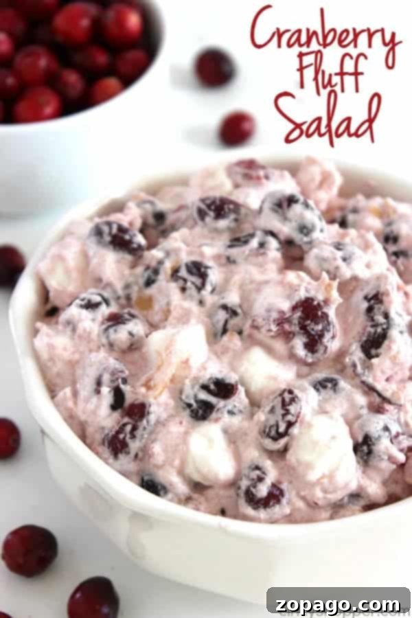 Effortless Cranberry Dishes for Thanksgiving 6 Cranberry Fluff Salad