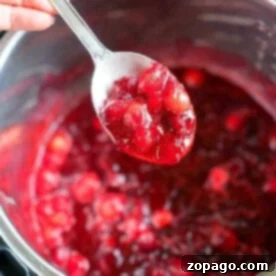 Easy Cranberry Recipes