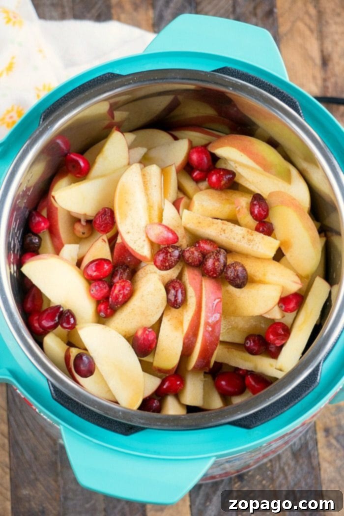This Instant Pot cranberry applesauce is a great Thanksgiving or Christmas side dish or snack throughout the year. It's a great sweet homemade treat. #instantpot #instantpotrecipes #thetypicalmom #cranberry #applesauce #homemade #pressurecooker #crockpotexpress Delicious pressure cooker cranberry applesauce in a serving bowl, ready for enjoyment.