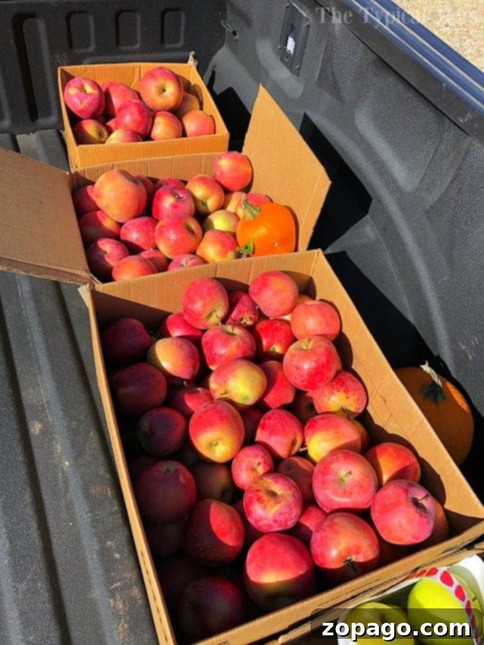 Crimson Apple Berry Puree 3 Cardboard boxes filled with red apples are stacked in the back of a truck, ready to be transformed into delicious treats like instant pot cranberry applesauce.