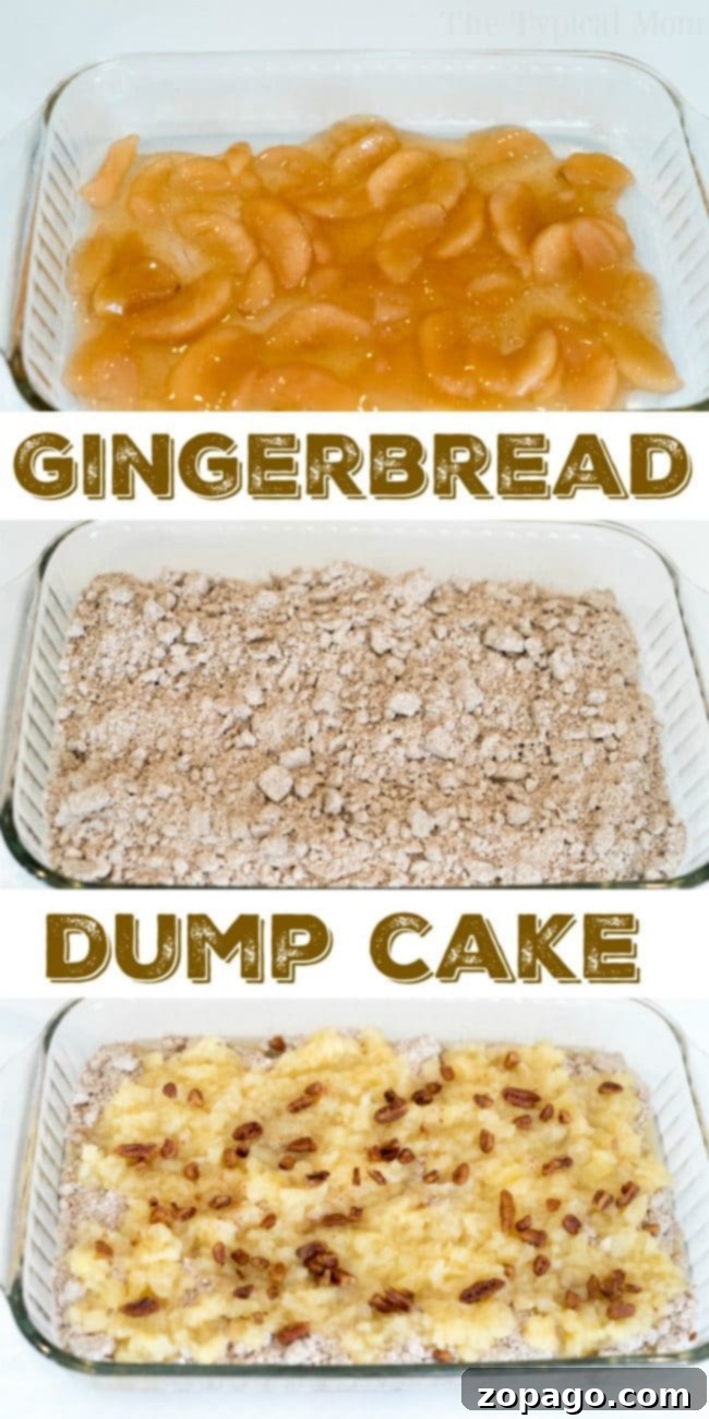 Gingerbread Cake