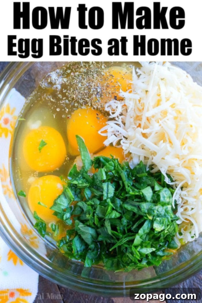 Instant Pot egg bites are the perfect protein packed breakfast for busy mornings. A great Keto Instant Pot recipe with just a few ingredients. #instantpot #eggbites #starbucks #keto #instantpotrecipes #pressurecooker #crockpotexpress #thetypicalmom Perfectly cooked pressure cooker egg bites, golden brown and ready to eat, a great Keto breakfast.