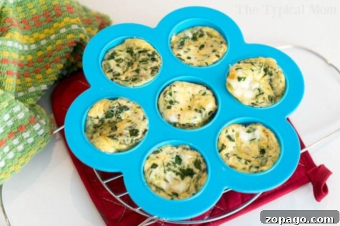 Pressure cooker egg bites are the perfect protein packed breakfast for busy mornings. A great Keto Instant Pot recipe with just a few ingredients. #instantpot #eggbites #starbucks #keto #instantpotrecipes #pressurecooker #crockpotexpress #thetypicalmom An empty Instant Pot egg mold, clean and ready for preparing the next batch of egg bites.