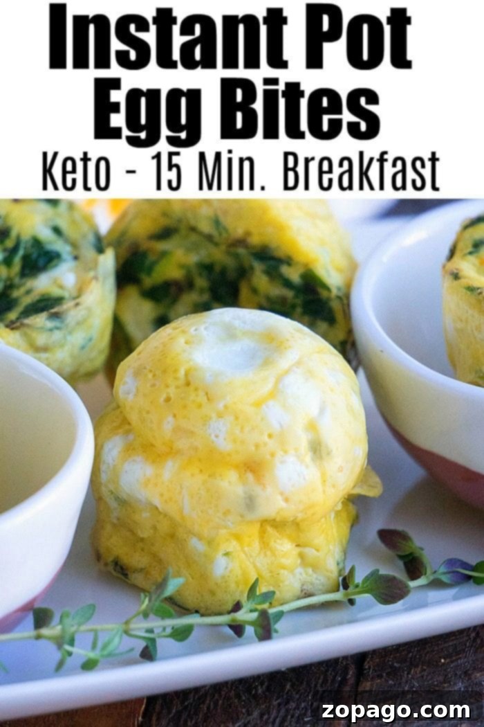 Pressure cooker egg bites are the perfect protein packed breakfast for busy mornings. A great Keto Instant Pot recipe with just a few ingredients. #instantpot #eggbites #starbucks #keto #instantpotrecipes #pressurecooker #crockpotexpress #thetypicalmom Two halves of a cooked egg bite, showing a fluffy interior with visible spinach and cheese.