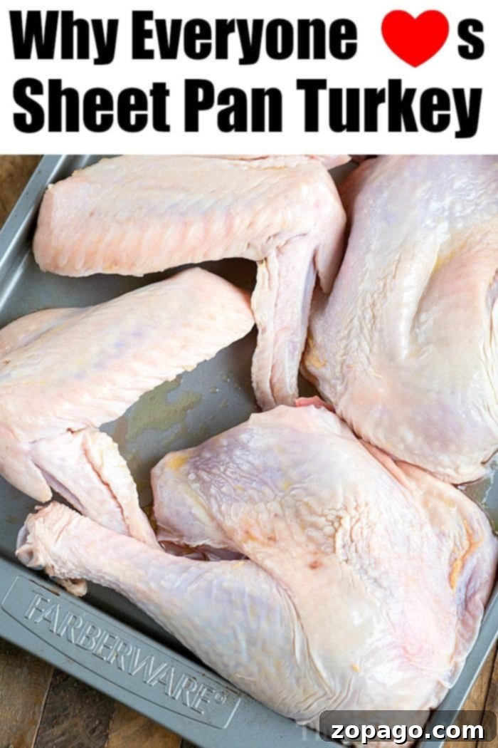 One Pan Turkey Feast 10 Sheet Pan Turkey Platter with Fresh Herbs, Ready to Serve