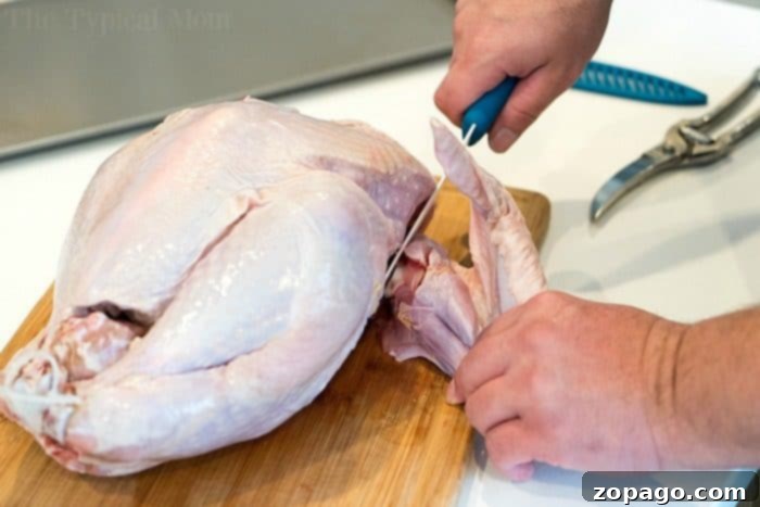 One-Pan Turkey Dinner 3 how to cook a moist turkey - Golden brown turkey pieces glistening with juices on a sheet pan, promising a tender and flavorful meal.