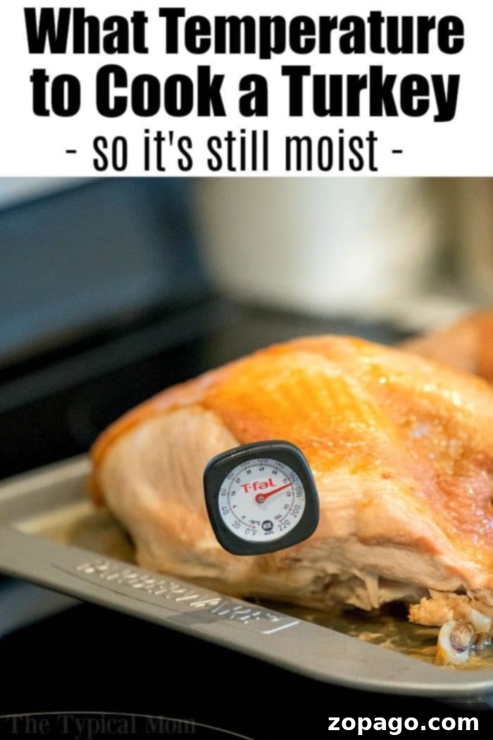 One Pan Turkey Feast 7 Visual Guide to Accelerated Turkey Cooking Time