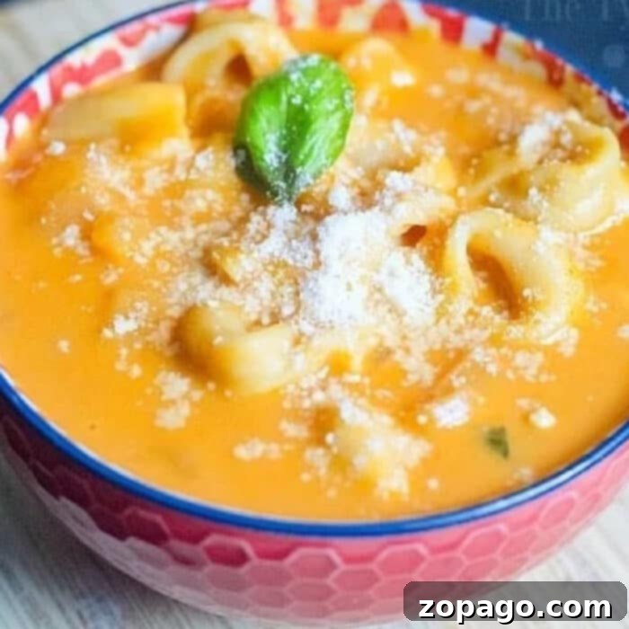 Silky Tomato Basil Perfection 2 Instant Pot Tomato Soup with Tortellini - a quick and easy pressure cooker meal.