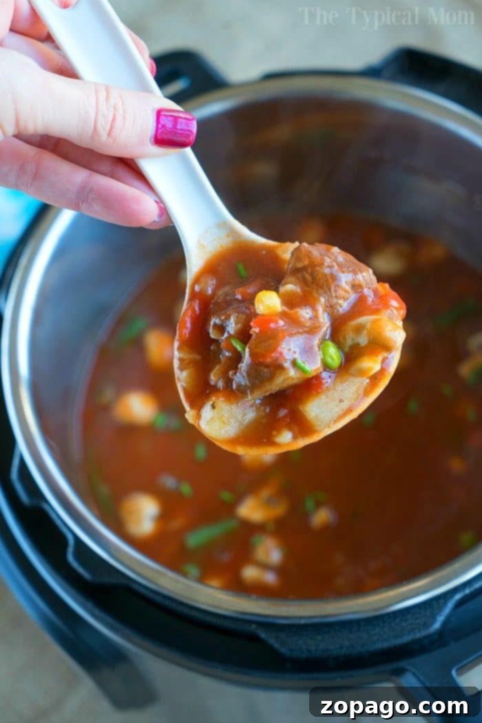 Hearty Instant Pot Beef Stew, a Cousin to Our Pot Pie Soup A rustic bowl of Instant Pot beef stew, rich in color and texture, featuring tender beef, chunky vegetables, and a thick, savory broth, topped with fresh parsley and served with a slice of crusty bread.