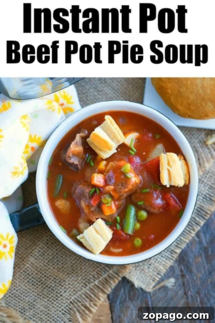 Discover More Delicious Instant Pot Beef Recipes for Easy Meals Instant Pot beef stew, a comforting and hearty one-pot meal packed with tender meat and vegetables, ready to serve.