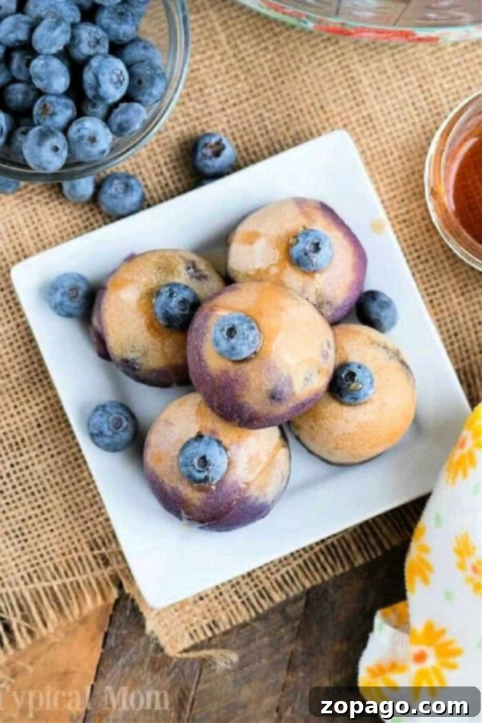 Five blueberry Instant Pot pancake bites, topped and surrounded by fresh blueberries on a square plate.