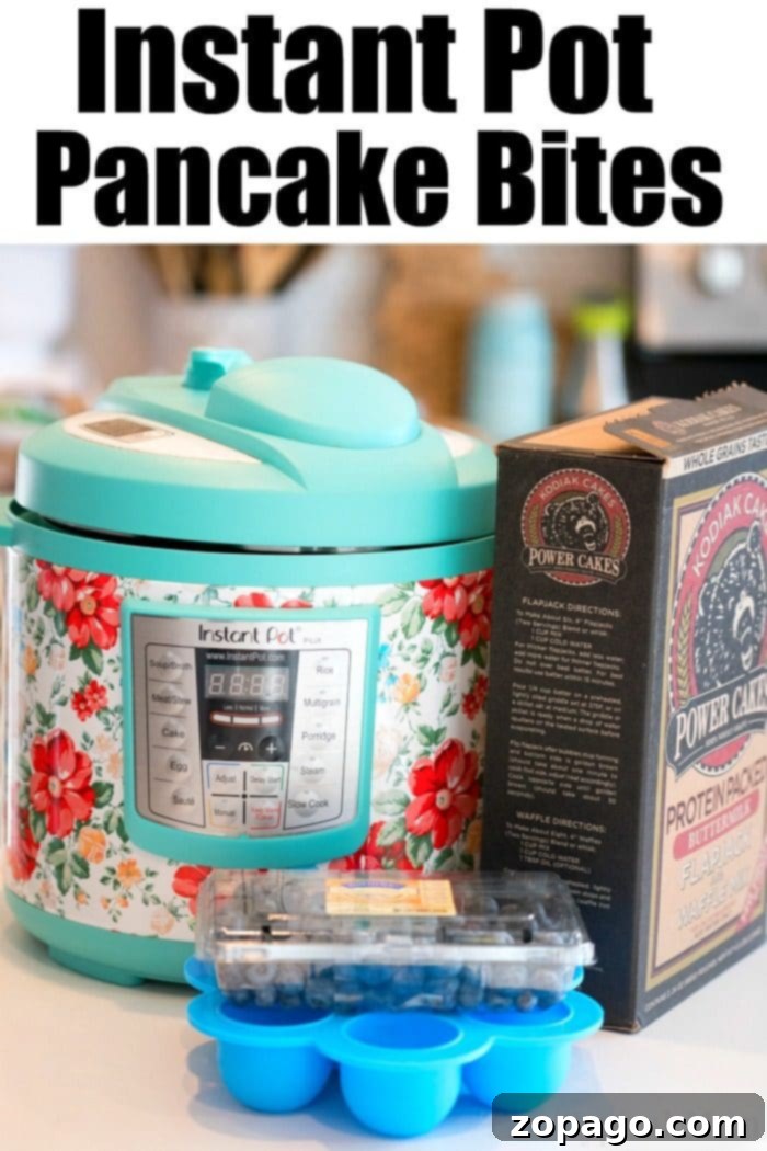 instant pot pancake bites 2
