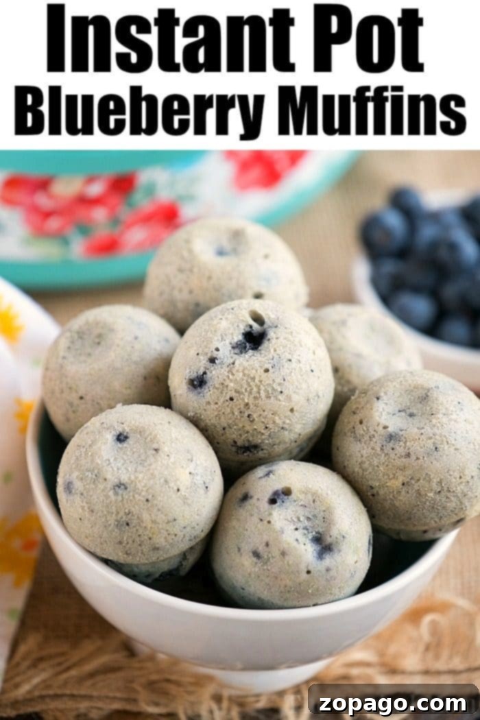 Instant Pot Pancake Poppers 7 An appetizing display of Instant Pot Blueberry Muffins, highlighting the versatility of the pressure cooker and egg molds.