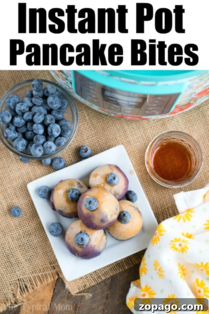 instant pot pancakes 2