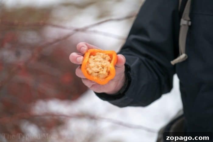 Budget Backpacking Bites 4 best backpacking meals 2