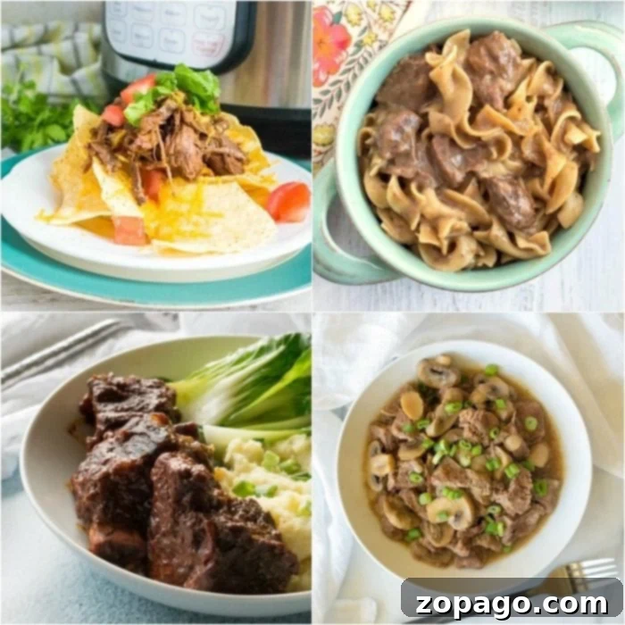 Collection of pressure cooker beef recipes