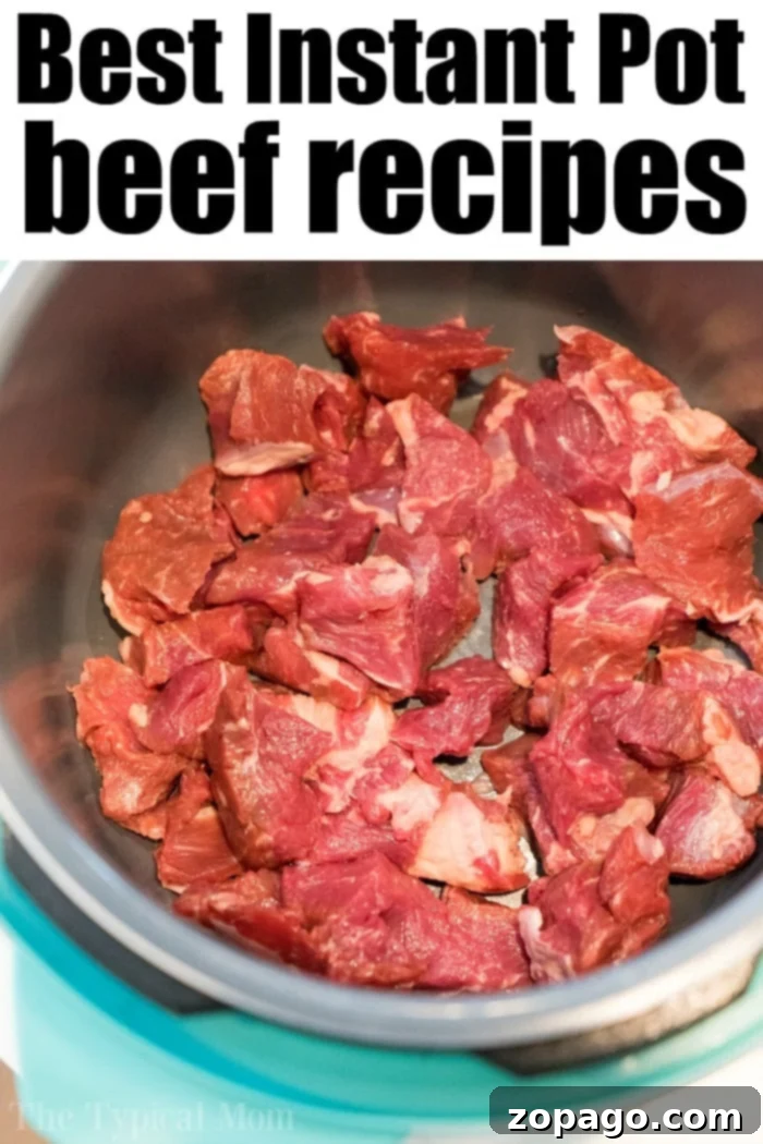 A variety of Instant Pot beef recipes
