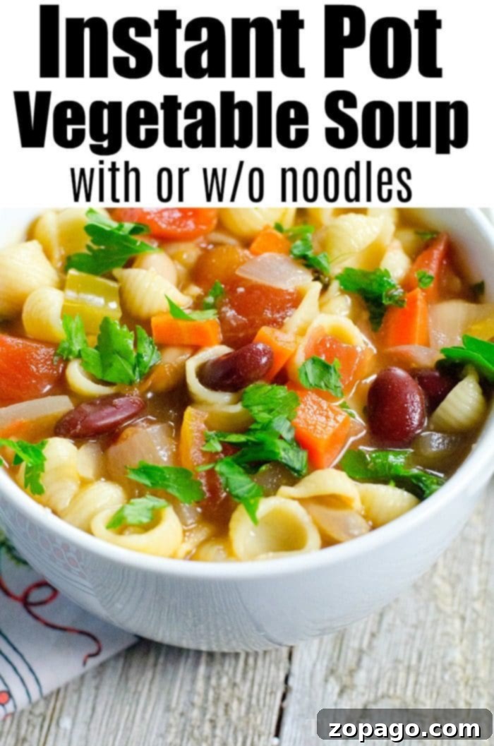 Discover 3 easy and customizable pressure cooker vegetable soup recipes for your Instant Pot! #instantpot #instantpotrecipes #vegetable #soup #pastaefagioli #pressurecooker #vegetablesoup #healthy #vegetarian A close-up of a rustic bowl of Instant Pot vegetable soup, rich with hearty vegetables and broth, garnished with fresh herbs, ready to be enjoyed as a wholesome meal.