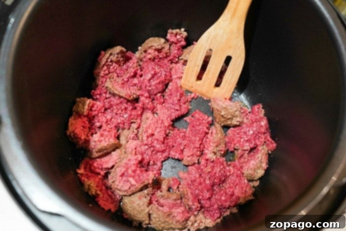 No Thaw Instant Pot Ground Beef 9 Instant Pot Frozen Ground Beef