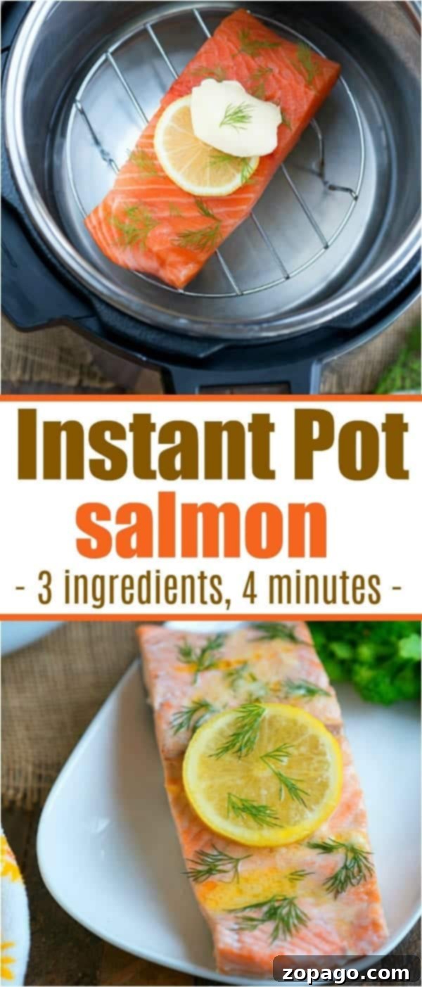Simple & Delicious Instant Pot Salmon Recipe Easy Instant Pot salmon fillet, perfectly cooked and ready to serve for a quick and healthy meal.