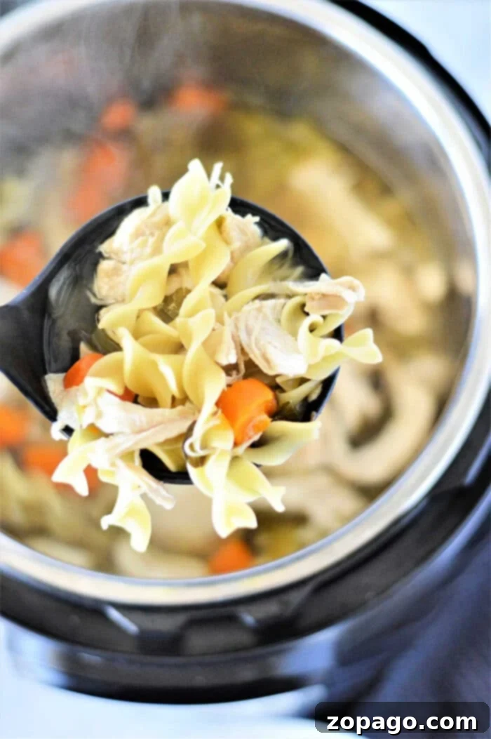 Quick and Easy Pressure Cooker Chicken Soup 2 Pressure Cooker Chicken Soup Recipes - A comforting bowl of homemade chicken soup