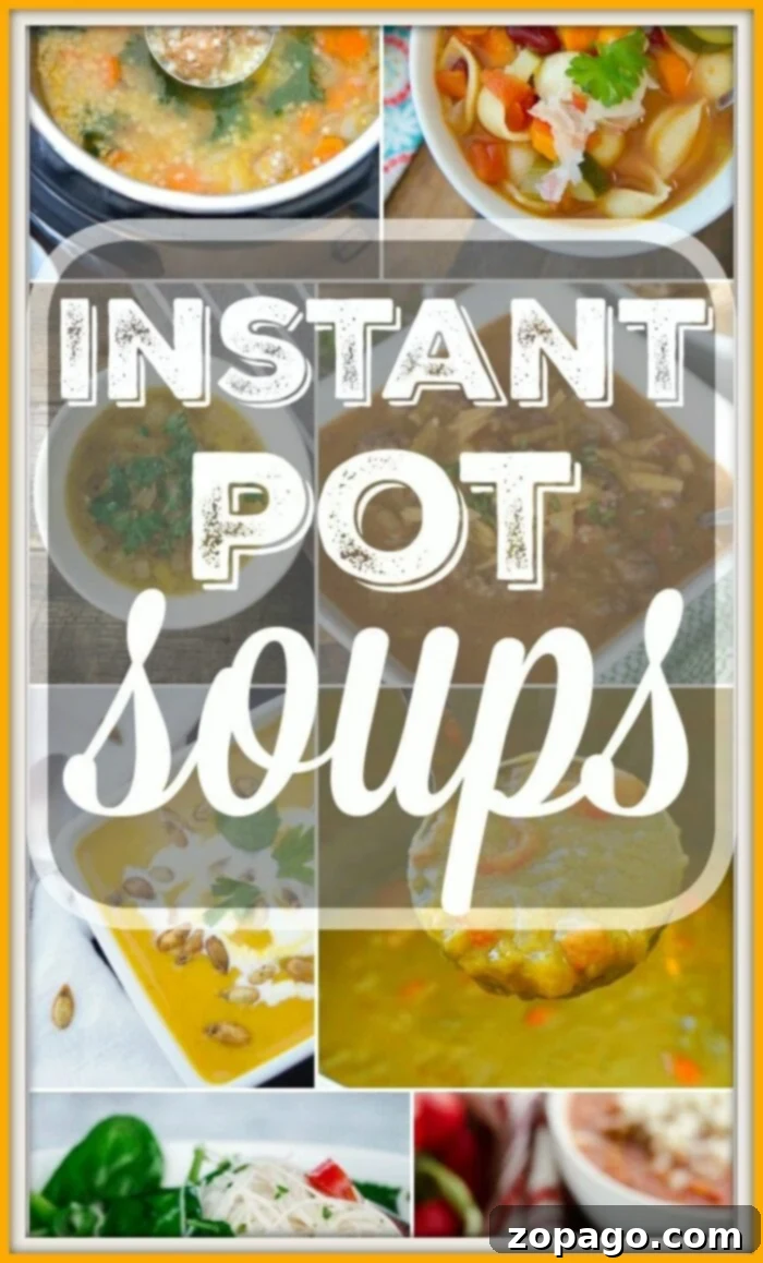 Instant Pot chicken soup recipes are perfect during the cooler months or when you have a cold! Many varieties here for your Instant Pot or Ninja Foodi. #instantpotrecipes #instantpot #pressurecooker #ninjafoodi #chickensoup #chicken #soup #healthy Instant Pot Soup Recipes 2 - Assortment of ingredients for delicious pressure cooker soups